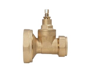 Plumbright Pump Valve Gate Type 1-1/2 X 22Mm