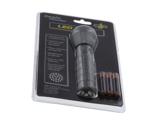 Regin REGE10 Premier LED Torch