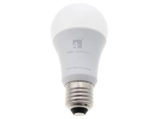 4LITE SMART 4L1/8000 A60 DIMMABLE BULB E27